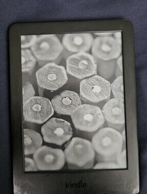 Amazon Kindle (10th Gen)
